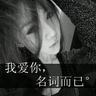 宠物狗托运知识
